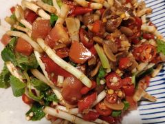 凉拌鱼腥草-紫滇源云南生态菜(丹凤街店)