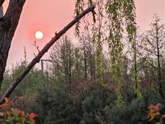 -上海长兴岛郊野公园