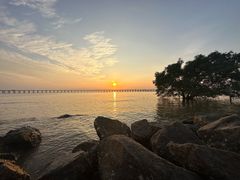 -宝安西湾红树林湿地公园