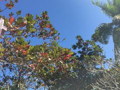 -三亚珠江南田温泉度假区