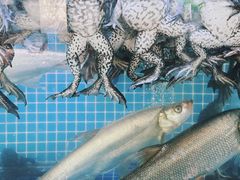 -壹只菜·崇明本地特色菜(崇明南门店)