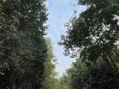 -清凉山国家森林公园