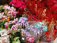 -盒马鲜生(馥邦国际店)