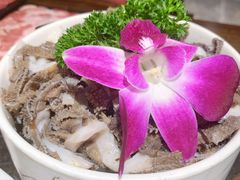 鲜脆毛肚-清真·京华源铜锅涮肉(丰庆店)