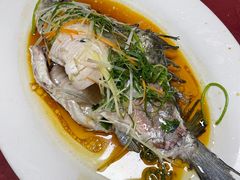 -渔闻农家菜