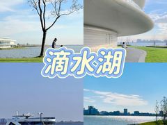 -上海山野camping·户外天幕烧烤·团建拓展营地