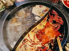 -蜀大侠火锅(建设路第五大道店)