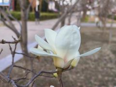 -首都师范大学(良乡校区)