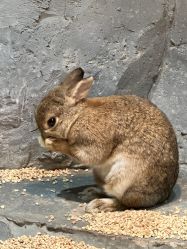 -Zoolung Zoolung动物主题公园(海信广场店)