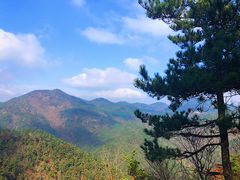 -四明山国家森林公园