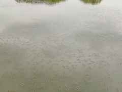 -梁鸿国家湿地公园