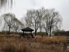 -大兴滨河森林公园