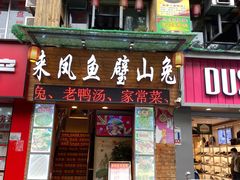 -正宗来凤鱼璧山兔(花卉园店)