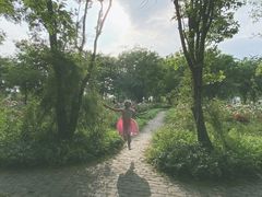 -鹅湖玫瑰文化园