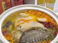 -金龙·打边炉(南京西路店)