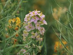 -中国天府农业博览园