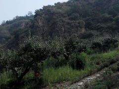 android_upload_pic-兴城海滨风景区