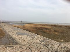 -南汇嘴观海公园