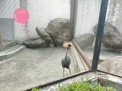 -南昌动物园