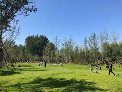 -回龙观体育文化公园