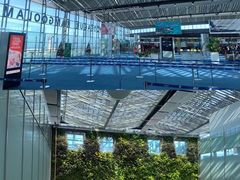 -西沃古尔·拉姆古兰爵士国际机场