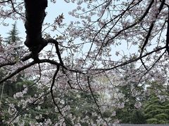 -堤角公园