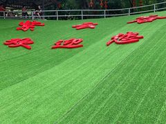 -羚羊峡古栈道森林公园
