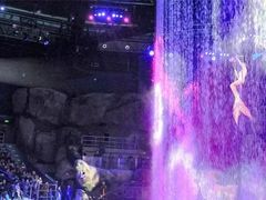 -芜湖新华联大白鲸海洋公园