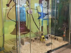 -新世界百货(顺义店)