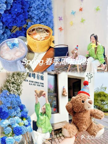 探店｜被这片蓝色绣球美到失语