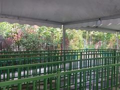 -热高乐园巴厘岛水世界
