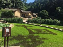 -韶山毛泽东同志故居