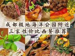 -海合安成都极地海洋公园
