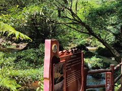 -赤水丹霞旅游区·佛光岩