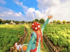 -荷兰花海