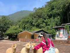 -昆明青龙峡风景区