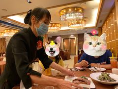 -西安饭庄(立丰国际店)