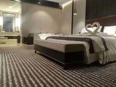 -乌鲁木齐百世昌龙泉酒店(大巴扎店)