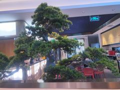 -马家斑.鲜鱼火锅(松湖万科店)