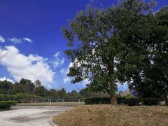 -重庆和泰马术俱乐部