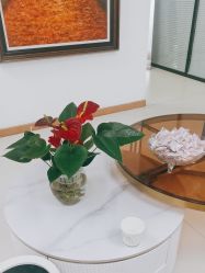 -薇兰专业脱毛连锁机构