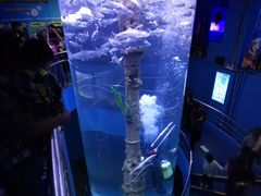 -厦门海底世界