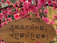-北京凤凰岭