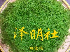 -泽明社