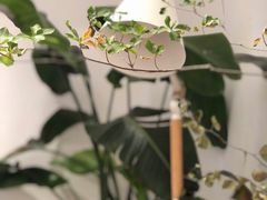 -COTTON CAFE(德信·中外公寓店)