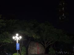 -野狸岛