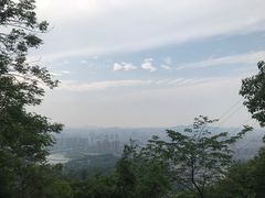 -茶颜悦色(岳麓山顶店)