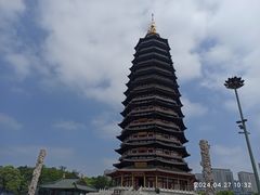-红梅公园