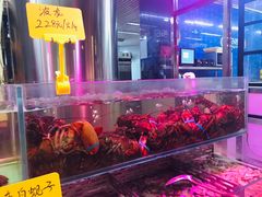 -日进一片海.生腌海鲜火锅.宵夜烧烤(三里屯总店)