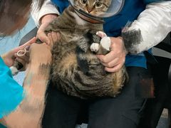 -仁普宠物诊所(住友昌盛新苑店)